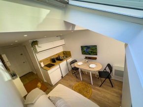 Le petit Jean - Studio hyper centre Grenoble